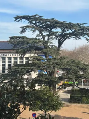 Plan de l'établissement Chambre à louer