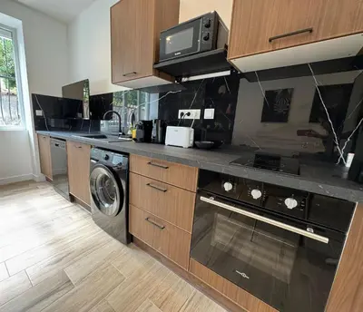 Cuisine ou kitchenette dans l'établissement Panther Carré de Soie Medipôle Astroballe