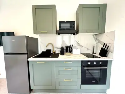 Cuisine ou kitchenette dans l'établissement Green Jungle Carré de soie Medipole Astroballe