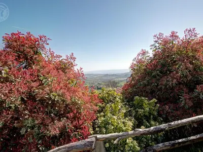 Paysage naturel près de la maison de vacances