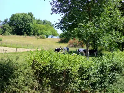 Paysage naturel près de la maison de vacances