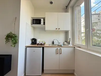 Cuisine ou kitchenette dans l'établissement Studio L'émeraude NEW Cozy - Gare Parilly