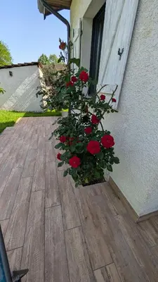 Jardin de l'établissement Belle Maison, calme avec parking