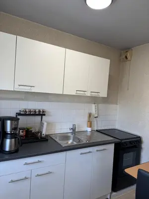 Cuisine ou kitchenette dans l'établissement Studio Lyon Plage