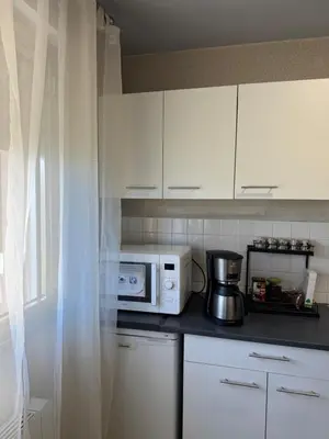 Cuisine ou kitchenette dans l'établissement Studio Lyon Plage