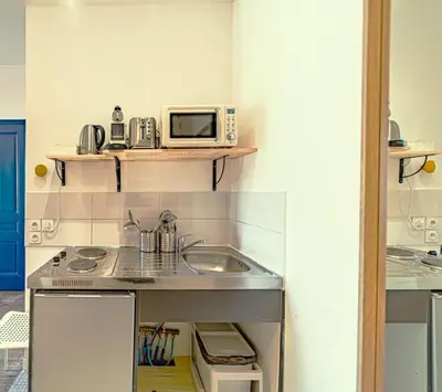 Cuisine ou kitchenette dans l'établissement Le Nid de Perrache Comfortable and Stylish Studio