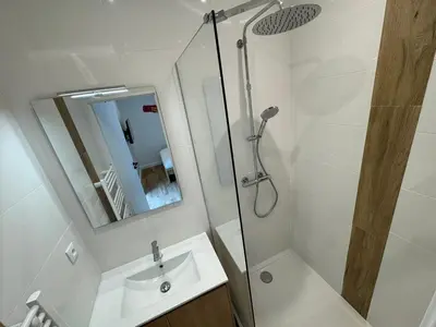 Salle de bains dans l'établissement Natural chic-T2 carré de soie -Medipôle- Astroballe