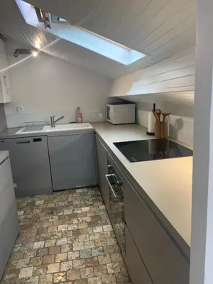 Cuisine ou kitchenette dans l'établissement Appartement Vieux Lyon Terrasse