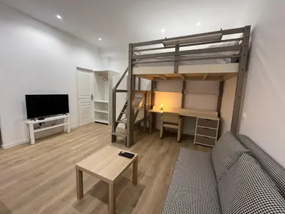 Télévision ou salle de divertissement dans l'établissement Studio rénové, au cœur du Vieux Lyon