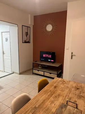 Télévision ou salle de divertissement dans l'établissement Maison de ville à Villeurbanne