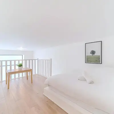 Bright loft with mezzanines Lyon 3 near Saxe-Gambetta
