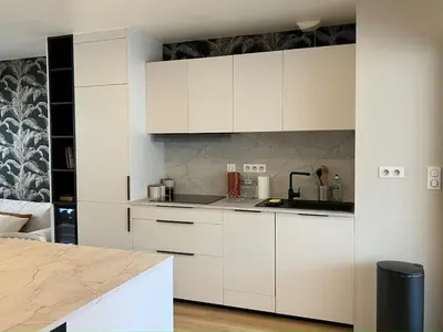 Cuisine ou kitchenette dans l'établissement Appartement Caluire-et-Cuire, Croix-Rousse, Lyon