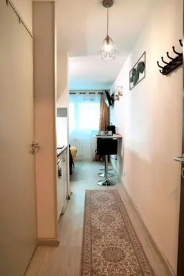 Cuisine ou kitchenette dans l'établissement Studio Le Cocon 22m2