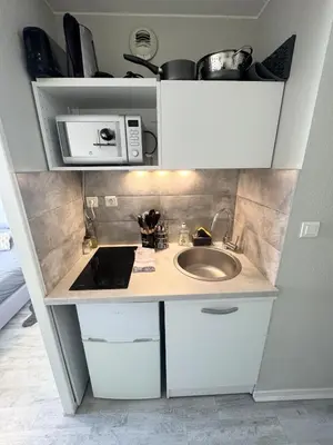 Cuisine ou kitchenette dans l'établissement Studio Le Voyageur 24 m2