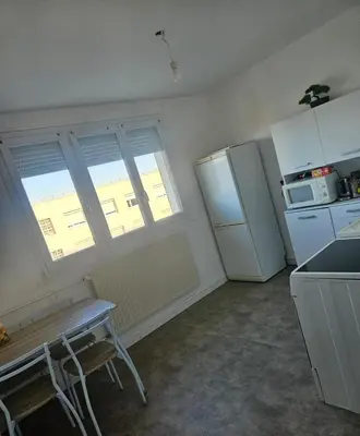Cuisine ou kitchenette dans l'établissement Apartment 2 minutes from Groupama