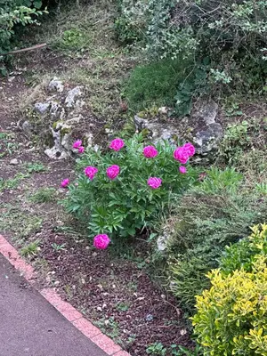 Jardin de l'établissement La coutoisière