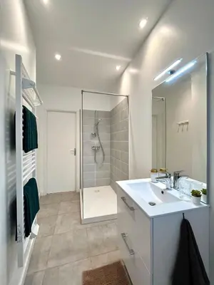Salle de bains dans l'établissement Duplex urbain proche centre-ville de Lyon - 6 pers
