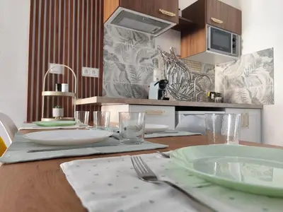 Cuisine ou kitchenette dans l'établissement Cozy accommodation near Lyon