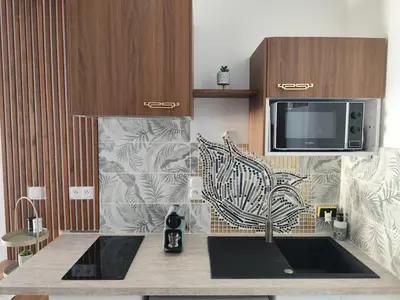 Cuisine ou kitchenette dans l'établissement Cozy accommodation near Lyon