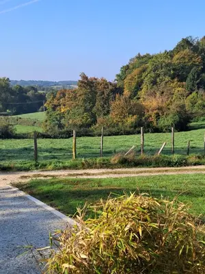 Paysage naturel près de le lodge