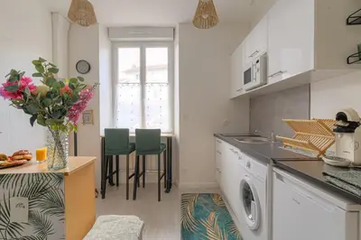 Cuisine ou kitchenette dans l'établissement studio jungle
