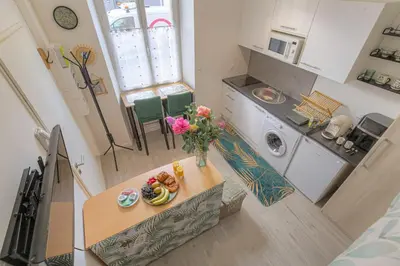 Cuisine ou kitchenette dans l'établissement studio jungle