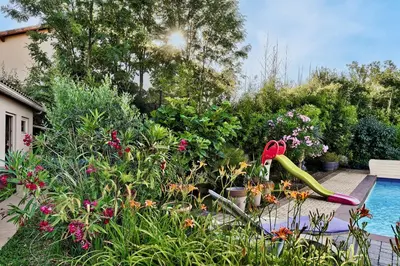 Jardin de l'établissement Chez Patricia en Beaujolais