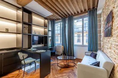 Télévision ou salle de divertissement dans l'établissement SWEET LEONE II -appartement avec spa privé-Lyon Place Terreaux