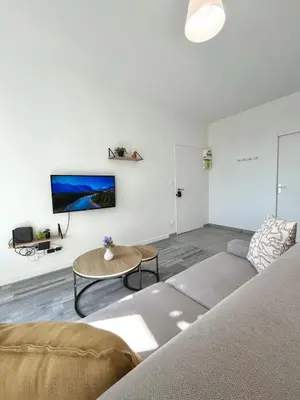 Télévision ou salle de divertissement dans l'établissement T2 urbain proche du centre-ville de Lyon