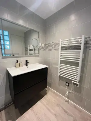 Salle de bains dans l'établissement Duplex avec terrasse à 15 min de Lyon