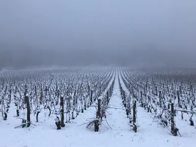 L'établissement le Linteau des Maranges en hiver
