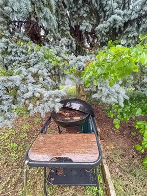 Jardin de l'établissement Appartement Avec Balcon & Jardin