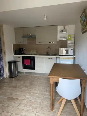 Cuisine ou kitchenette dans l'établissement Le Miribel
