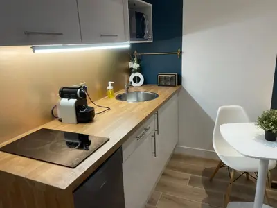 Cuisine ou kitchenette dans l'établissement CHARMANT STUDIO à MONTCHAT