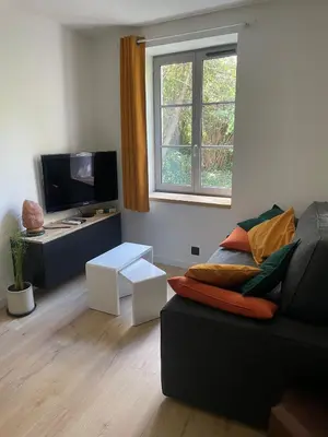 Télévision ou salle de divertissement dans l'établissement Charming renovated apartment, 15 min from Lyon