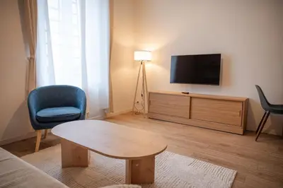 Télévision ou salle de divertissement dans l'établissement Saint-Fons centre appartement meublé