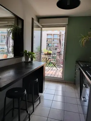 Cuisine ou kitchenette dans l'établissement Le Botanica - Balcon - 2 chambres - proche quai du Rhone