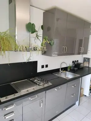 Cuisine ou kitchenette dans l'établissement Le Botanica - Balcon - 2 chambres - proche quai du Rhone