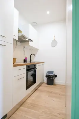 Cuisine ou kitchenette dans l'établissement Le Chenavard III-coeur Lyon-Central air conditioning