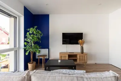 Télévision ou salle de divertissement dans l'établissement Zest Cocooon Villeurbanne