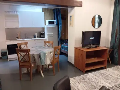 Cuisine ou kitchenette dans l'établissement Studio Miribel