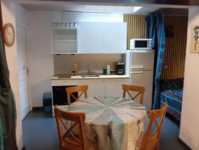Cuisine ou kitchenette dans l'établissement Studio Miribel