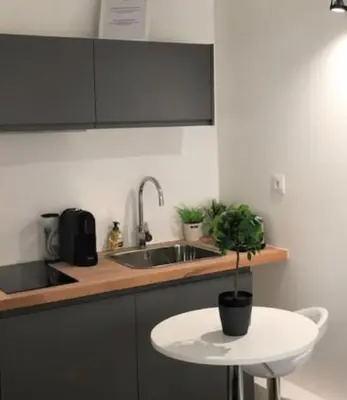 Cuisine ou kitchenette dans l'établissement Ideally located studio Foch & Parc de la Tête d’Or