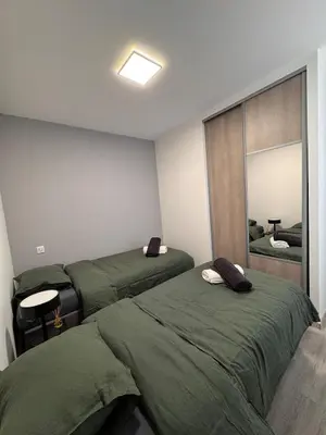 Un ou plusieurs lits dans un hébergement de l'établissement Cozy apartment 15 minutes from Lyon