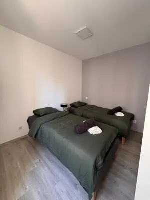 Un ou plusieurs lits dans un hébergement de l'établissement Cozy apartment 15 minutes from Lyon