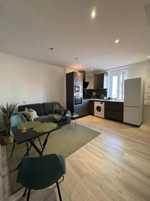 Cuisine ou kitchenette dans l'établissement Cozy apartment 15 minutes from Lyon