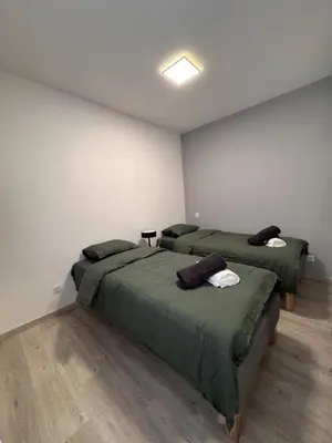Un ou plusieurs lits dans un hébergement de l'établissement Cozy apartment 15 minutes from Lyon