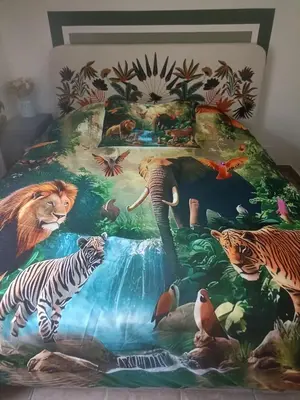 Plan de l'établissement De l'Amazone à la Savane