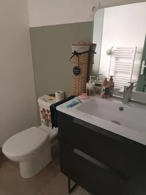 Salle de bains dans l'établissement De l'Amazone à la Savane