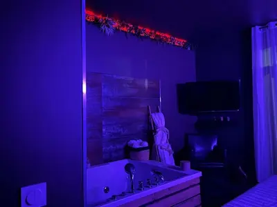 Télévision ou salle de divertissement dans l'établissement Appartement Romantique Exceptionnel